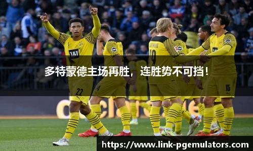 多特蒙德主场再胜，连胜势不可挡！