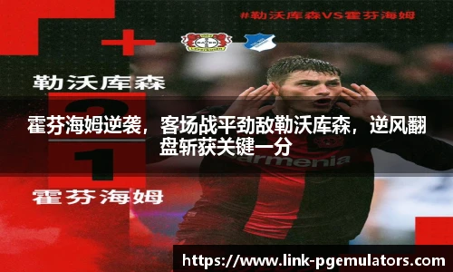 霍芬海姆逆袭，客场战平劲敌勒沃库森，逆风翻盘斩获关键一分