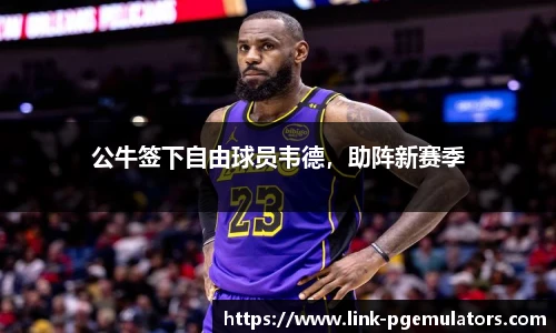 公牛签下自由球员韦德，助阵新赛季