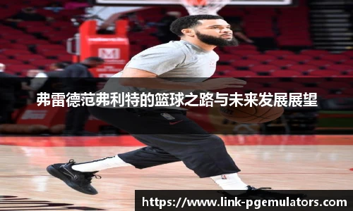 弗雷德范弗利特的篮球之路与未来发展展望