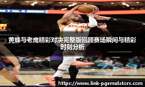 黄蜂与老鹰精彩对决完整版回顾赛场瞬间与精彩时刻分析